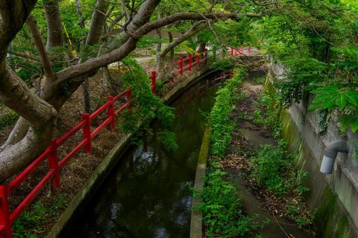 Photo, a shrine, tatekoshi shrine, shrines and temples, 