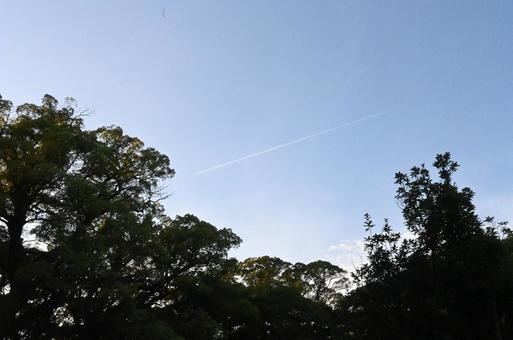 ひこうき雲と樹木 ひこうき雲と樹木 飛行機雲,雲,樹木の写真素材