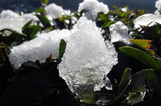 Photo, snow, landscape, cold, 
