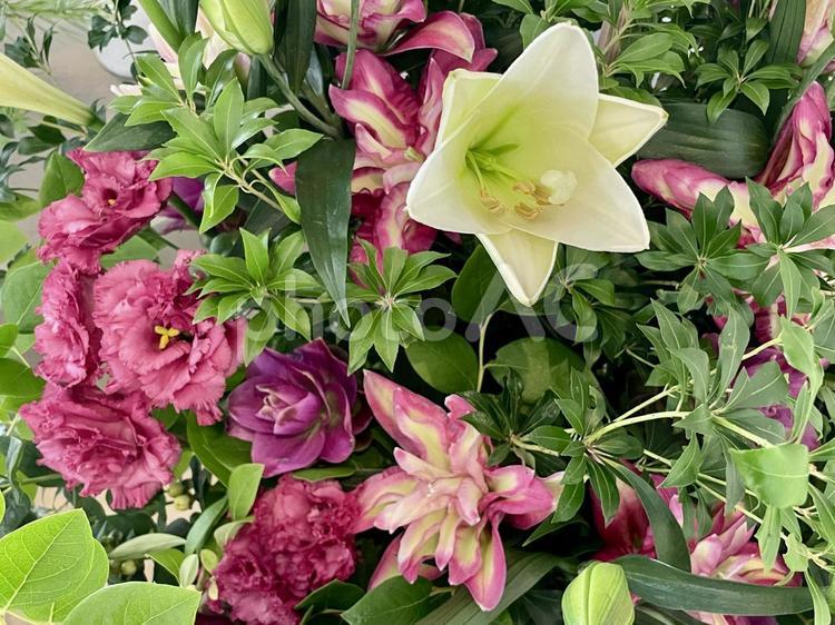 トルコキキョウ、百合のアレンジメント テッポウユリ,ユリ,オリエンタルリリーの写真素材