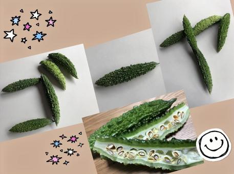 ゴーヤで『ゴーヤ』! ゴーヤで『ゴーヤ』!の写真