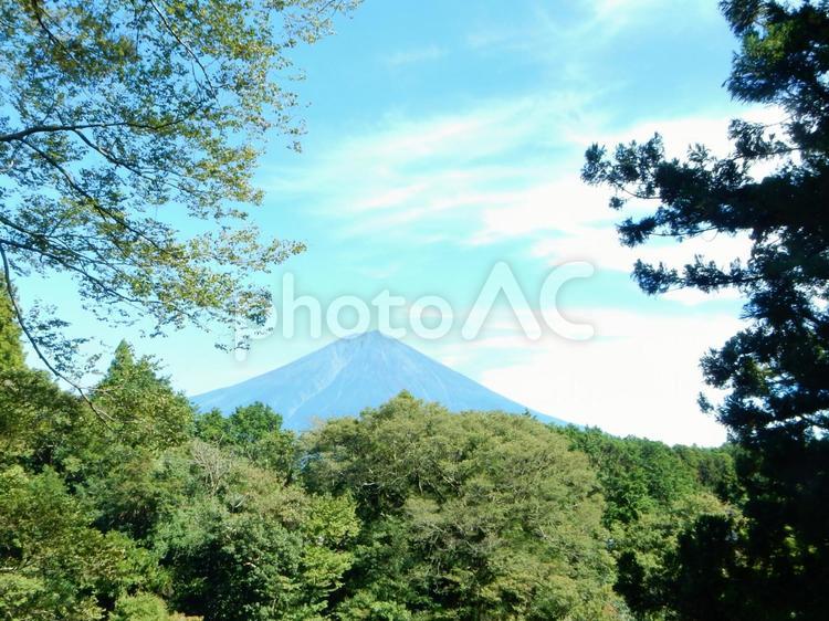 富士山の風景・静岡から撮影 風景,自然,山の写真素材