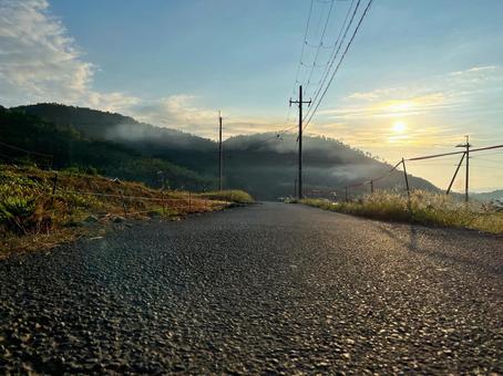 朝の道 朝の道の写真