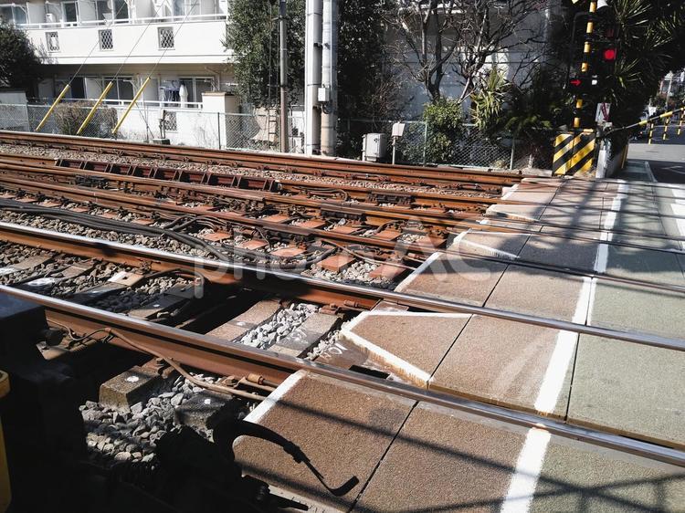 踏切に線路がいっぱい 踏切,線路,鉄道の写真素材
