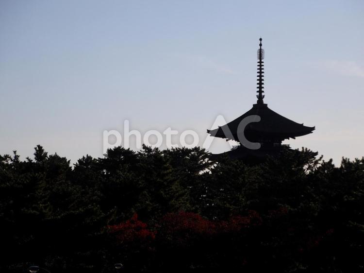 五重の塔のシルエット 五重の塔,シルエット,夕景の写真素材