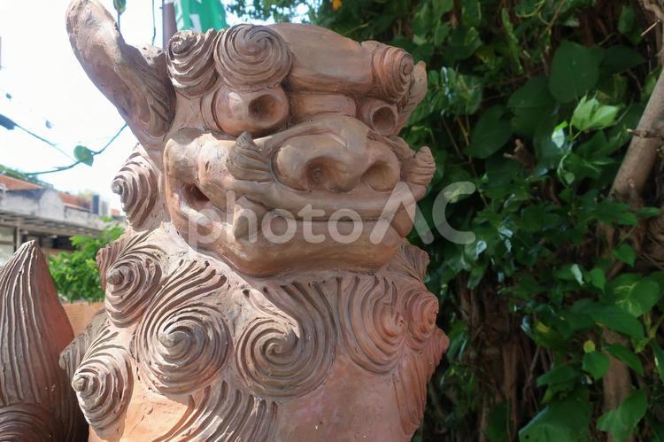 シーサー2 シーサー,獅子,魔除けの写真素材