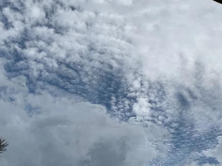 空 うろこ雲 空 うろこ雲の写真