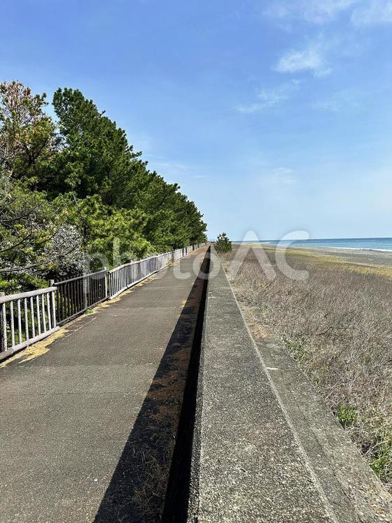 新宮市　王子ヶ浜　海　堤防 屋外,新宮市,王子ヶ浜の写真素材