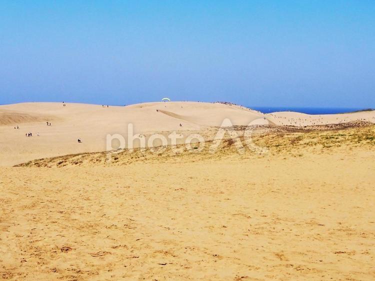砂丘と青空3 鳥取,鳥取砂丘,青空の写真素材