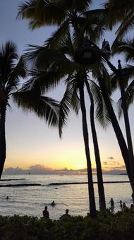 ヤシのシルエットと夕暮れの海 ヤシのシルエットと夕暮れの海 夕暮れ,夕焼け,サンセットの写真素材