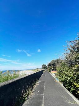 青空と海と一本道　縦の写真