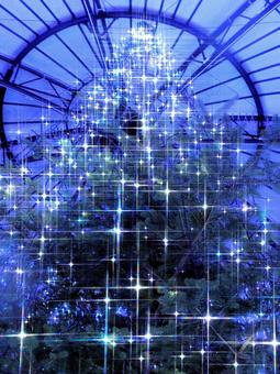 クリスマスイルミネーション イルミネーション,クリスマス,夜景の写真素材