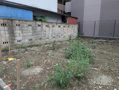 ブロック塀と空き地 ブロック塀と空き地 空き地,不動産,更地の写真素材