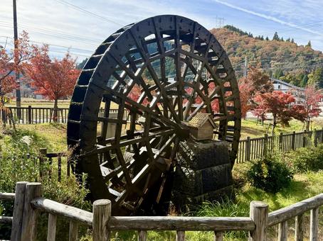 11月　秋の竹田水車メロディーパーク 竹田水車メロディーパーク,自然,水車の写真素材