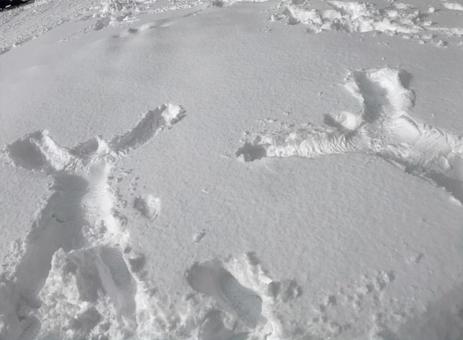 First snow dive man type, First snow dive man type, รอยพระบาท, มีคนไม่มีอะไร, ปัง,