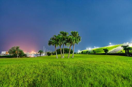 夜の宮崎マリーナと命の丘 夜の宮崎マリーナと命の丘 夜景,夜,夜空の写真素材