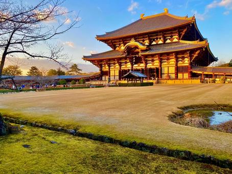 東大寺大仏殿 東大寺大仏殿 奈良,東大寺,境内の写真素材