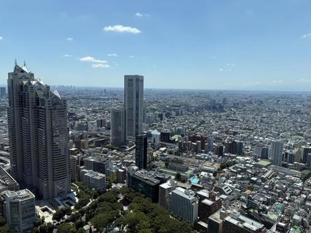 展望台 展望台 東京都庁,展望台,夏空の写真素材