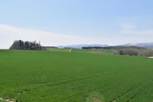照片, 自然, 原材料, 风景, 