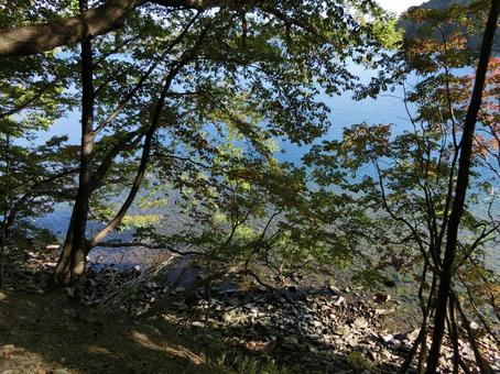洞爺湖の中島自然道 自然,背景,山道の写真素材