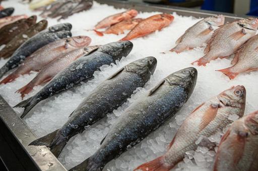 氷の上に並ぶさまざまな鮮魚 氷の上に並ぶさまざまな鮮魚の写真
