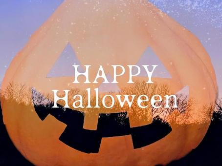 夜の森に浮かぶジャックオランタン① 夜の森に浮かぶジャックオランタン① ハロウィン,ハロウィーン,カボチャの写真素材