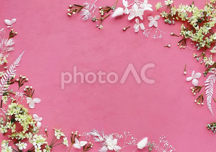 ボタニカル素材のフレーム　背景ピンク 花,ボタニカル,ナチュラルの写真素材