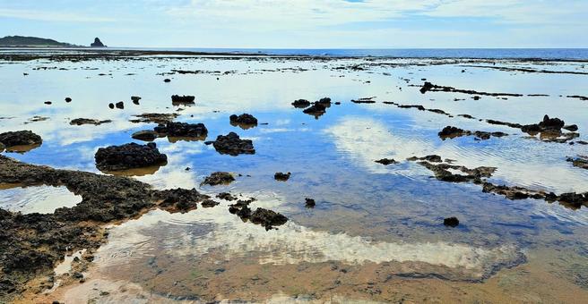 引き潮の海 引き潮の海 海,空,景色の写真素材