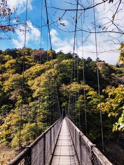 回顧の吊り橋の紅葉 滝,回顧の吊り橋,塩原温泉の写真素材