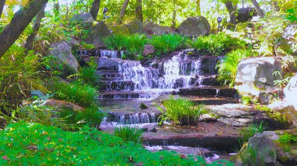 姫路城 好古園5 日本庭園,御屋敷,日本家屋の写真素材