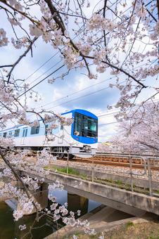 川沿いの橋を走る電車とソメイヨシノ 川沿いの橋を走る電車とソメイヨシノの写真