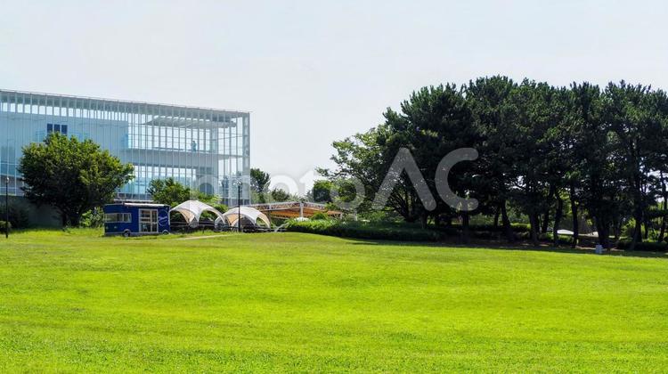 夏の葛西臨海公園・緑の芝生広場（東京都） 夏,葛西臨海公園,東京都の写真素材