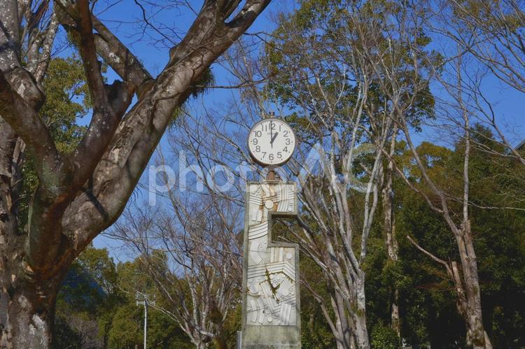 公園の時計台 公園,昼間,ポカポカの写真素材