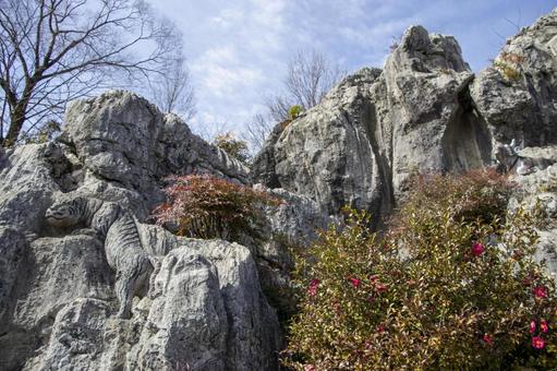 金生山岩巣公園の写真