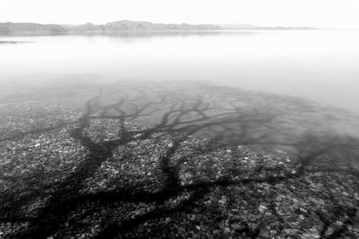 猪苗代湖湖底に映す影 猪苗代湖湖底に映す影 猪苗代湖,モノクロ,湖底の写真素材