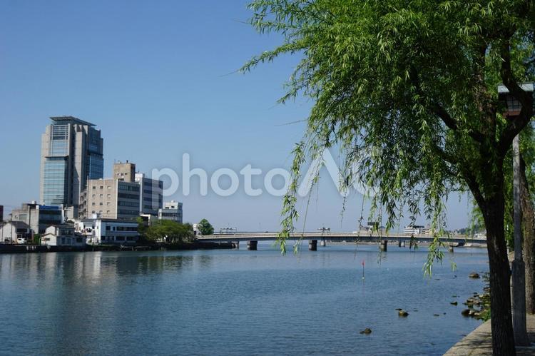 島根県松江市街地の中心を流れる大橋川 島根,松江,大橋川の写真素材