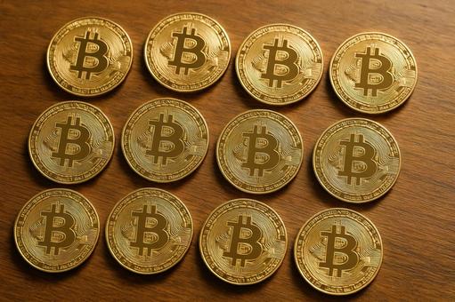 並べられたビットコイン 並べられたビットコインの写真