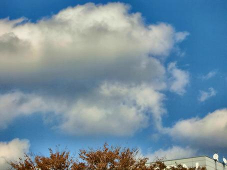十一月の雲-10 十一月,青空,空の写真素材