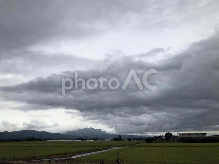 山形　田んぼ　９月　秋　雲　稲穂 山形,田んぼ,９月の写真素材