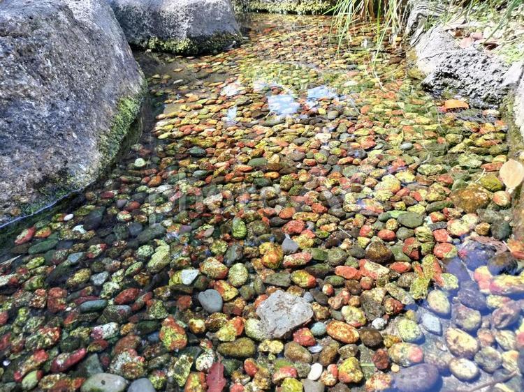 小川と玉砂利 小川,玉砂利,水の流れの写真素材