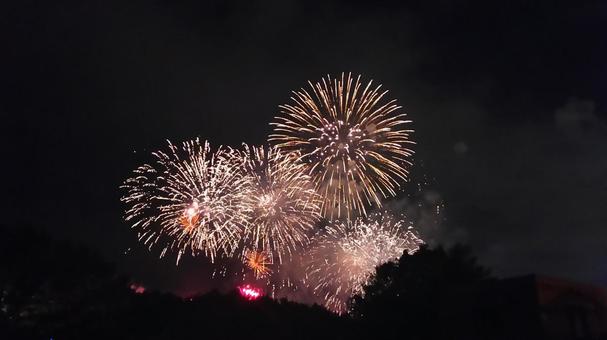 花火 花火 花火,夏,花火大会の写真素材