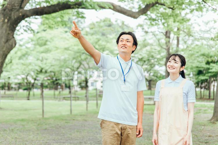 医療・介護・福祉系の男女スタッフ 介護士,ホームヘルパー,看護師の写真素材