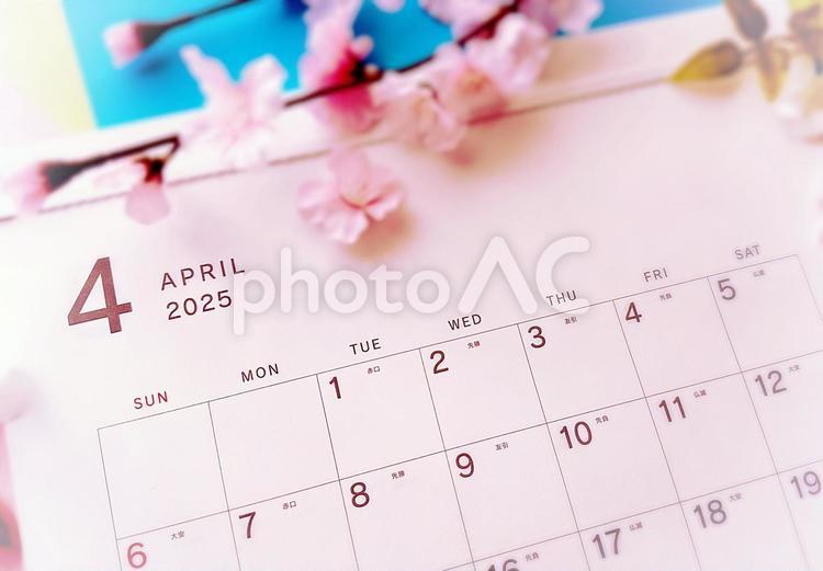 2025年4月カレンダー、桜と春の花３ 4月,カレンダー,2025の写真素材