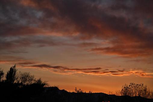 夕焼け 2025/11/16 夕焼け,夕暮れ,夕方の写真素材