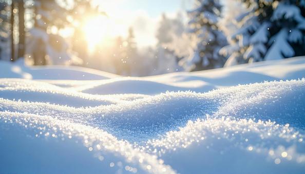 雪原に降る陽の光 雪原に降る陽の光の写真