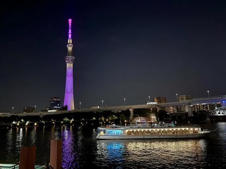 夏の空とバイオレットに光るスカイツリー 夏の空とバイオレットに光るスカイツリー 空,スカイツリー,塔の写真素材