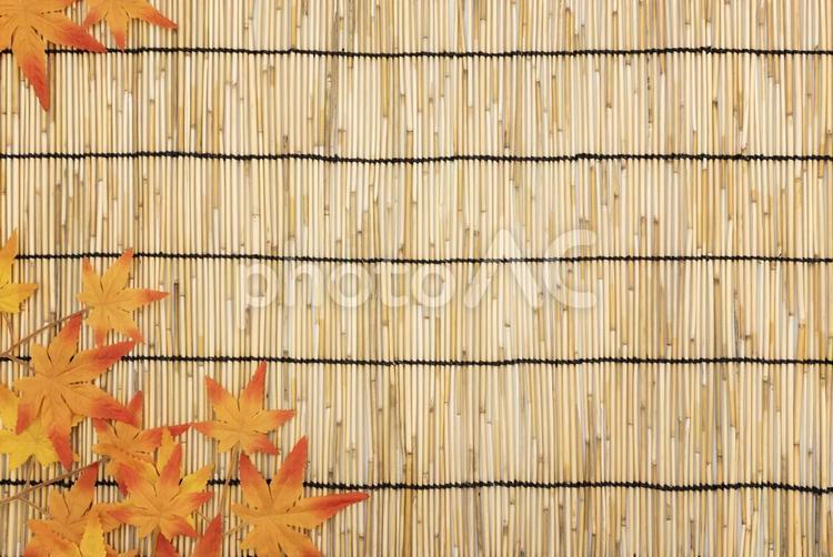 紅葉のコピースペース背景のイメージ 紅葉,モミジ,和風の写真素材