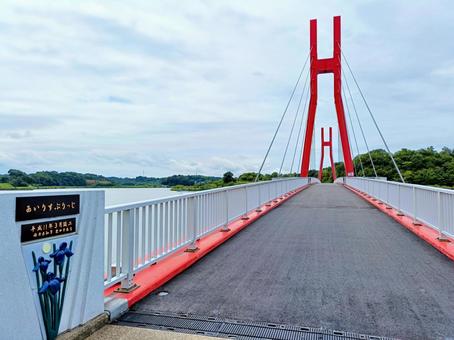 Iris Bridge 5, Awara City, Fukui Prefecture, JPG