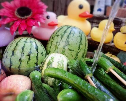 夏の風物詩 夏の風物詩 夏の風物詩,夏,スイカの写真素材
