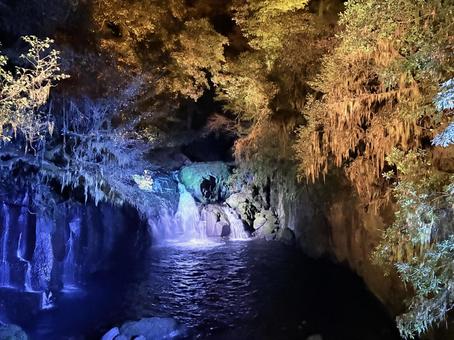 ライトアップの写真